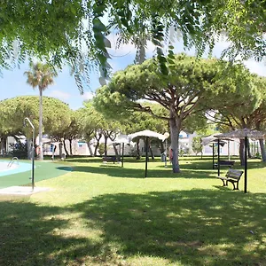https://apartamento-almadraba-b2.es-andalucia.com